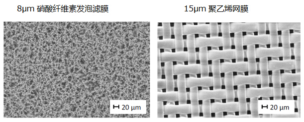 image011.jpg 發(fā)泡濾膜和網(wǎng)膜的結(jié)構(gòu)對比